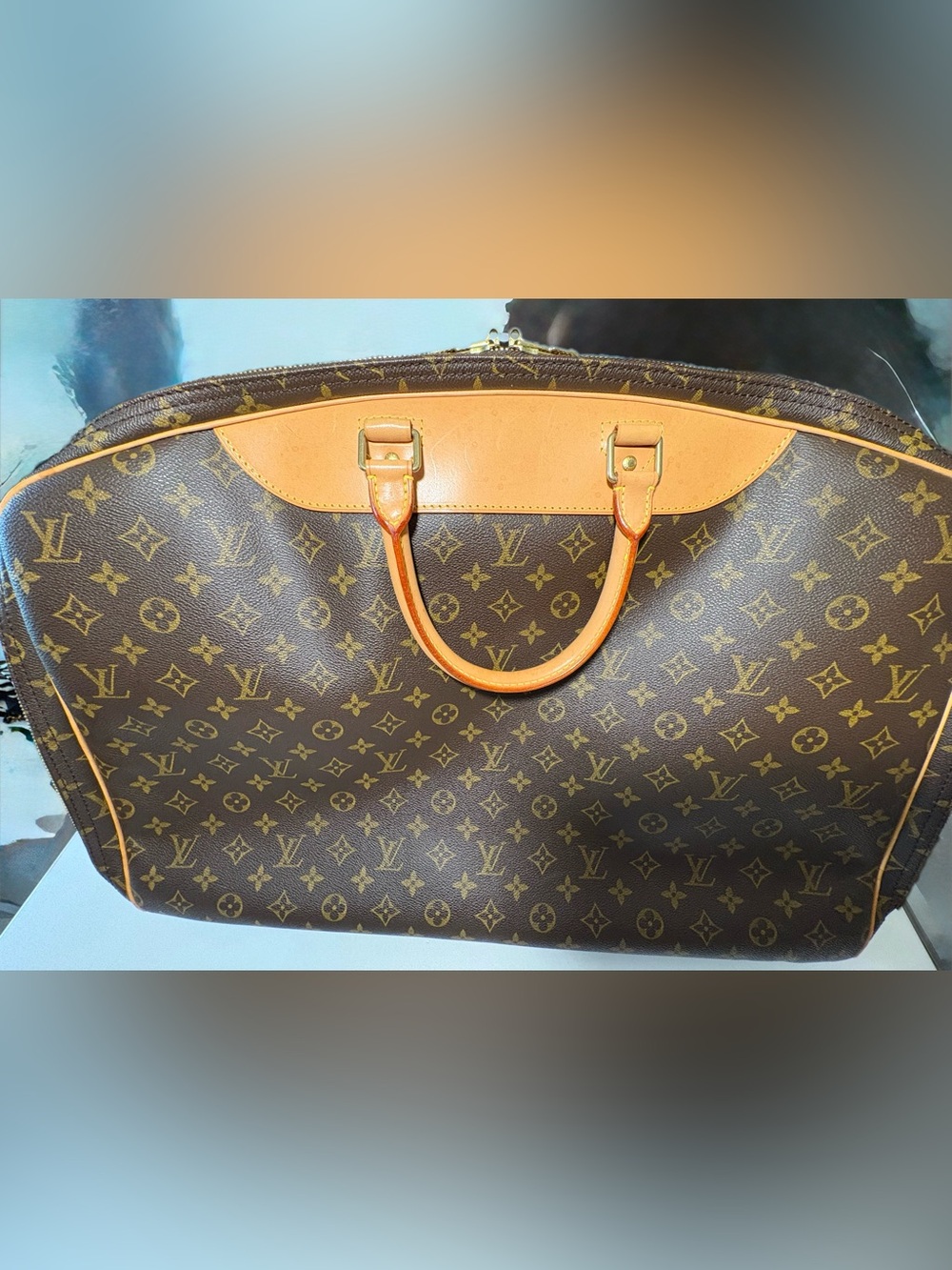 Vintage Louis Vuitton Monogram Alizé - Picture 2 of 16